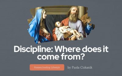 Discipline: Where does it come from?