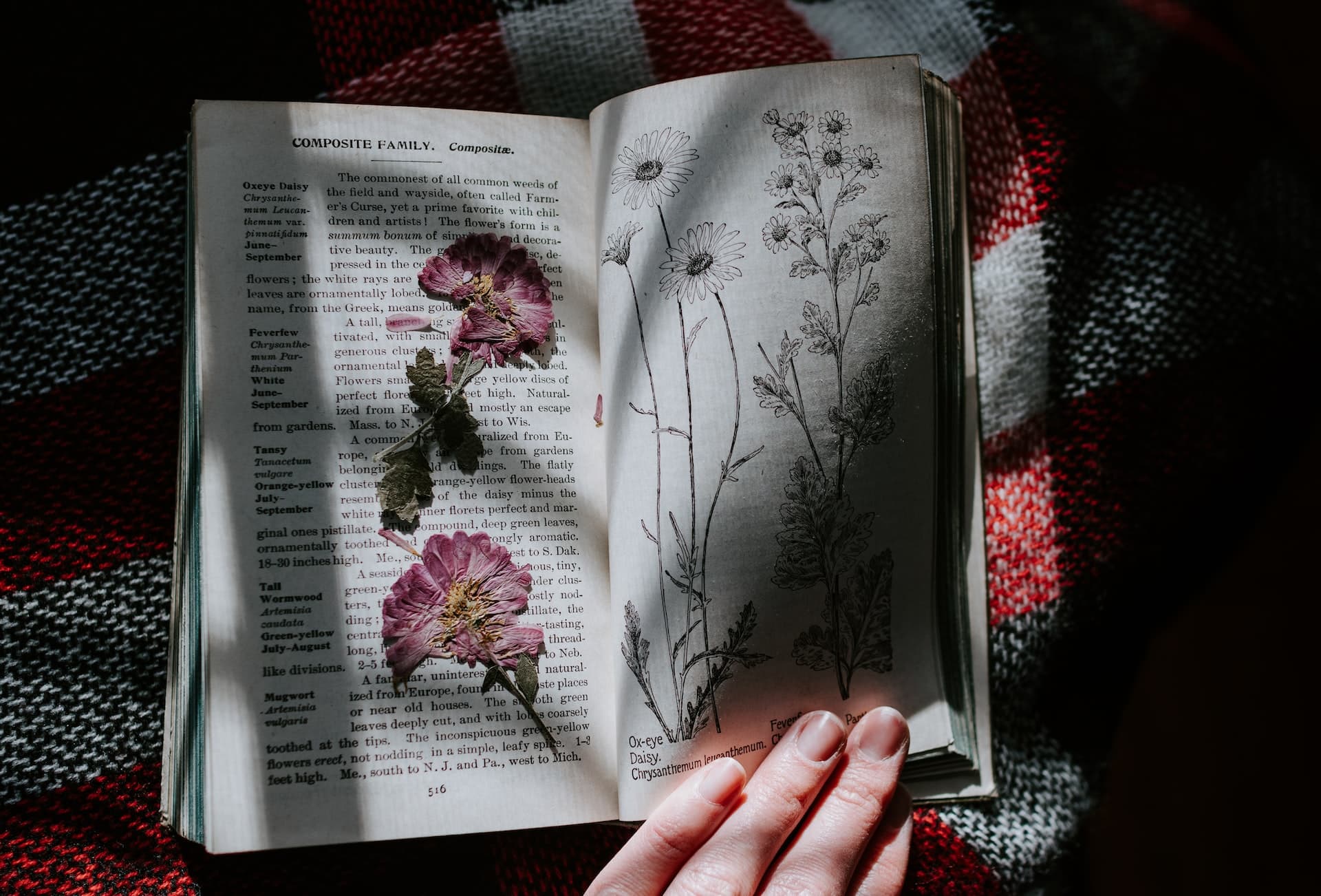 Books with plants