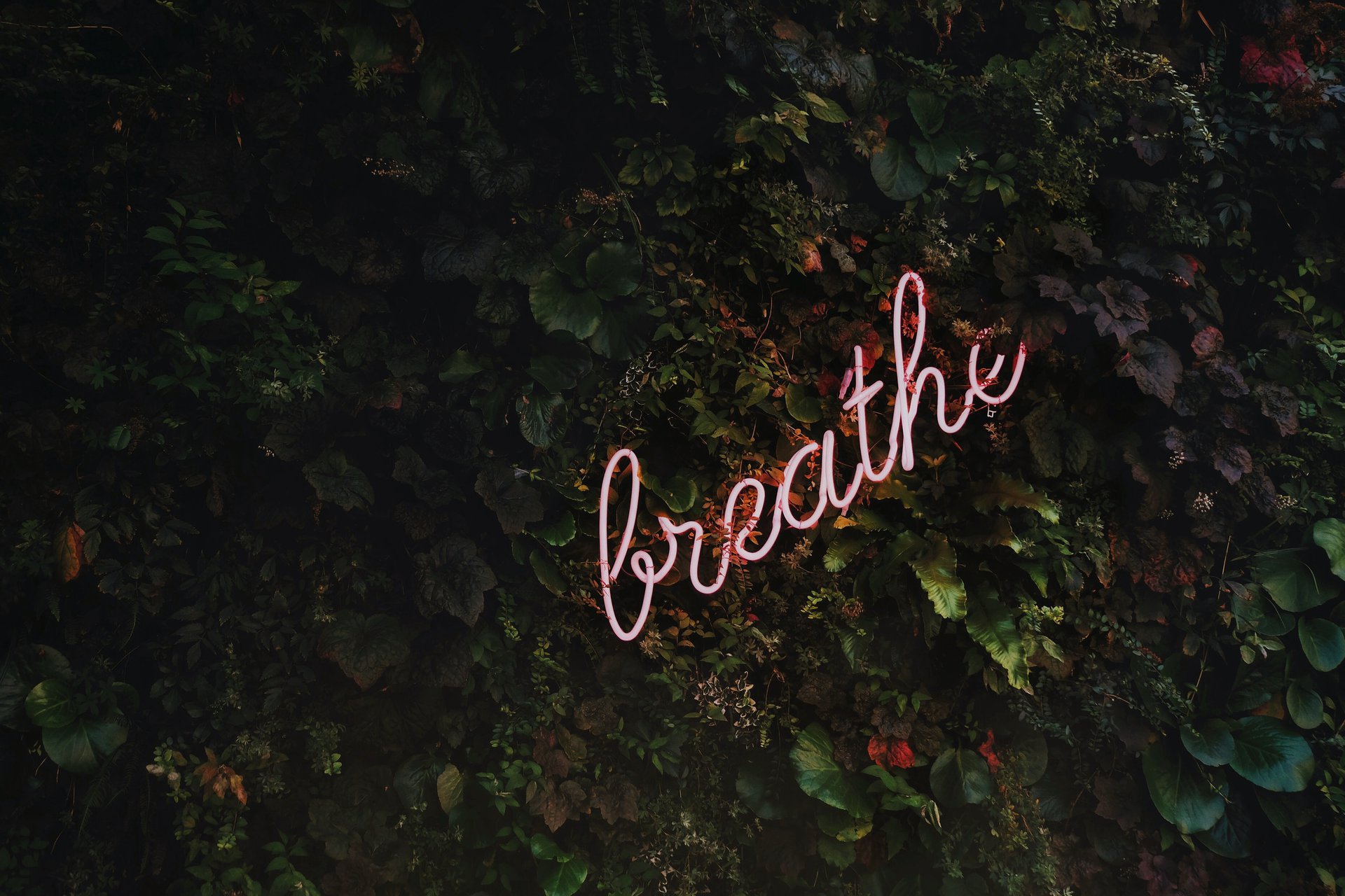 breathe and move on